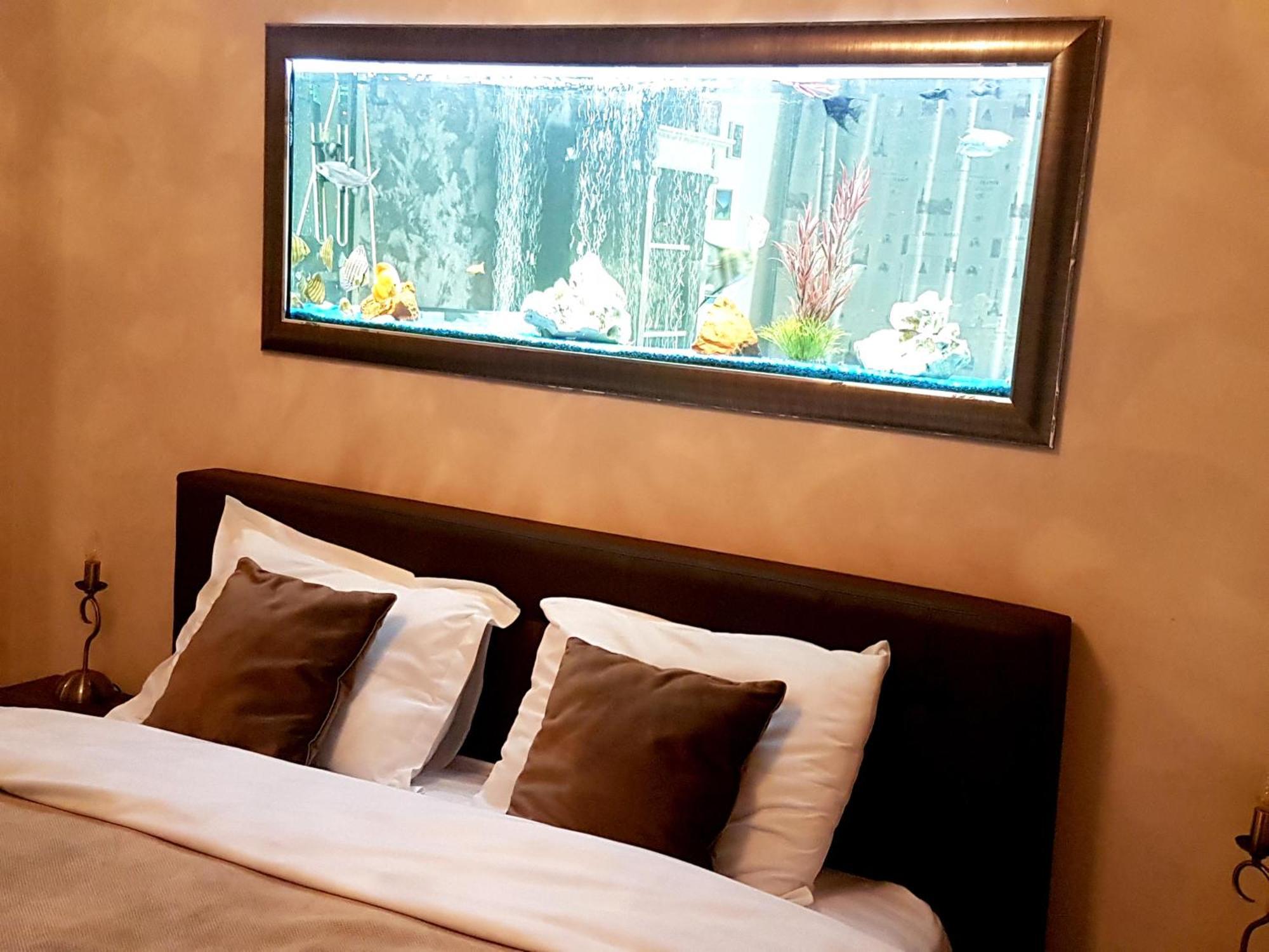 Magic Apartment Braszów Zewnętrze zdjęcie